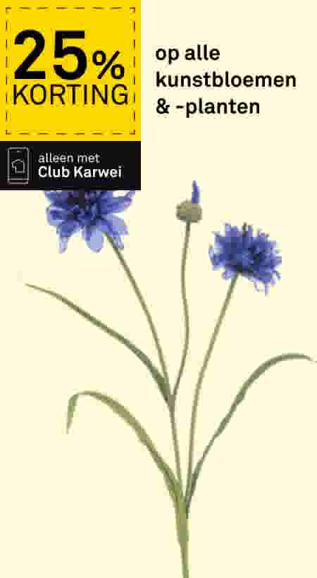 25% korting op alle kunstbloemen & -planten