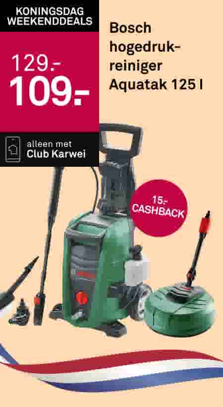 Bosch hogedrukreiniger Aquatak 125 l
