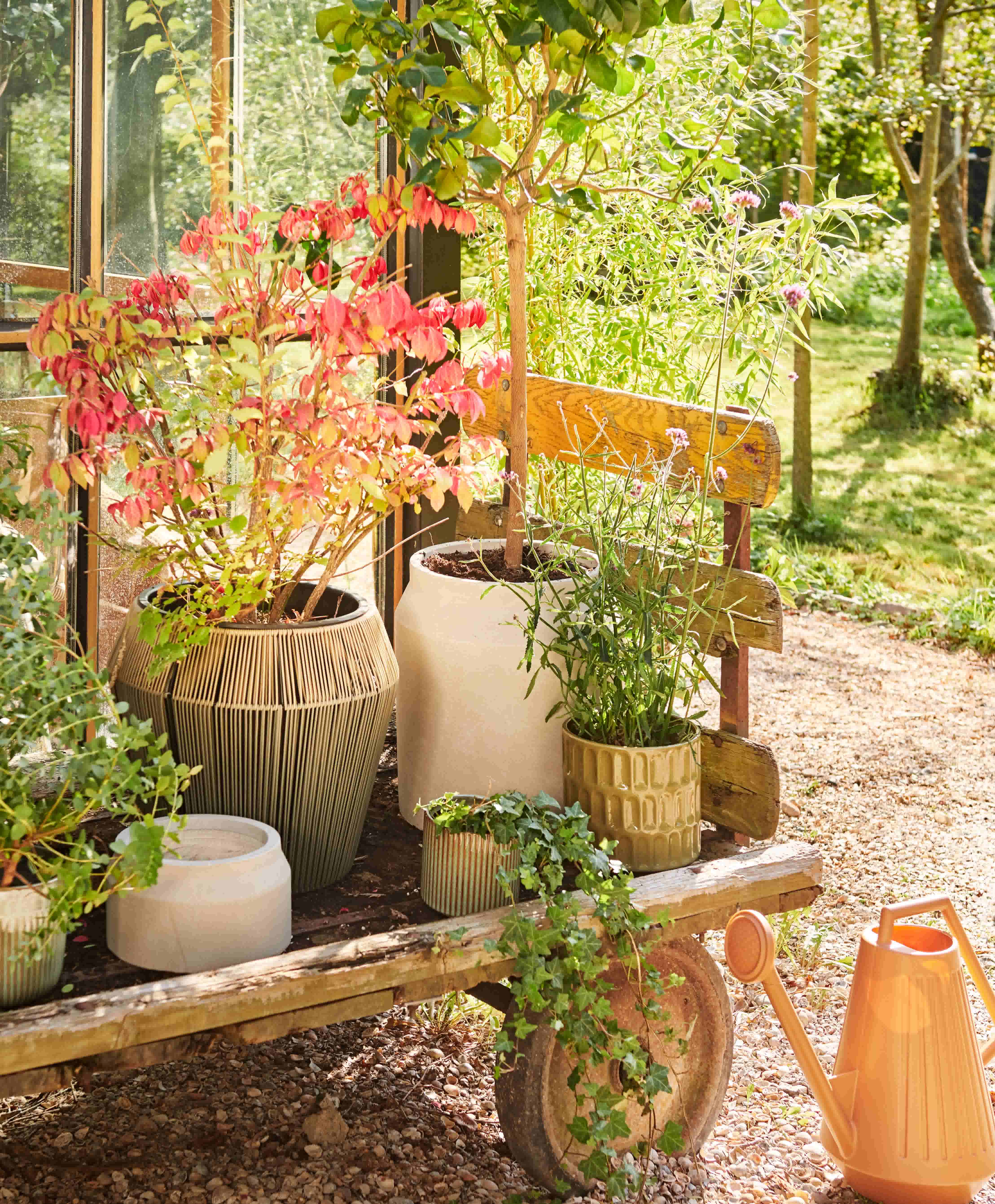 Verzameling van planten in plantepotten in de tuin