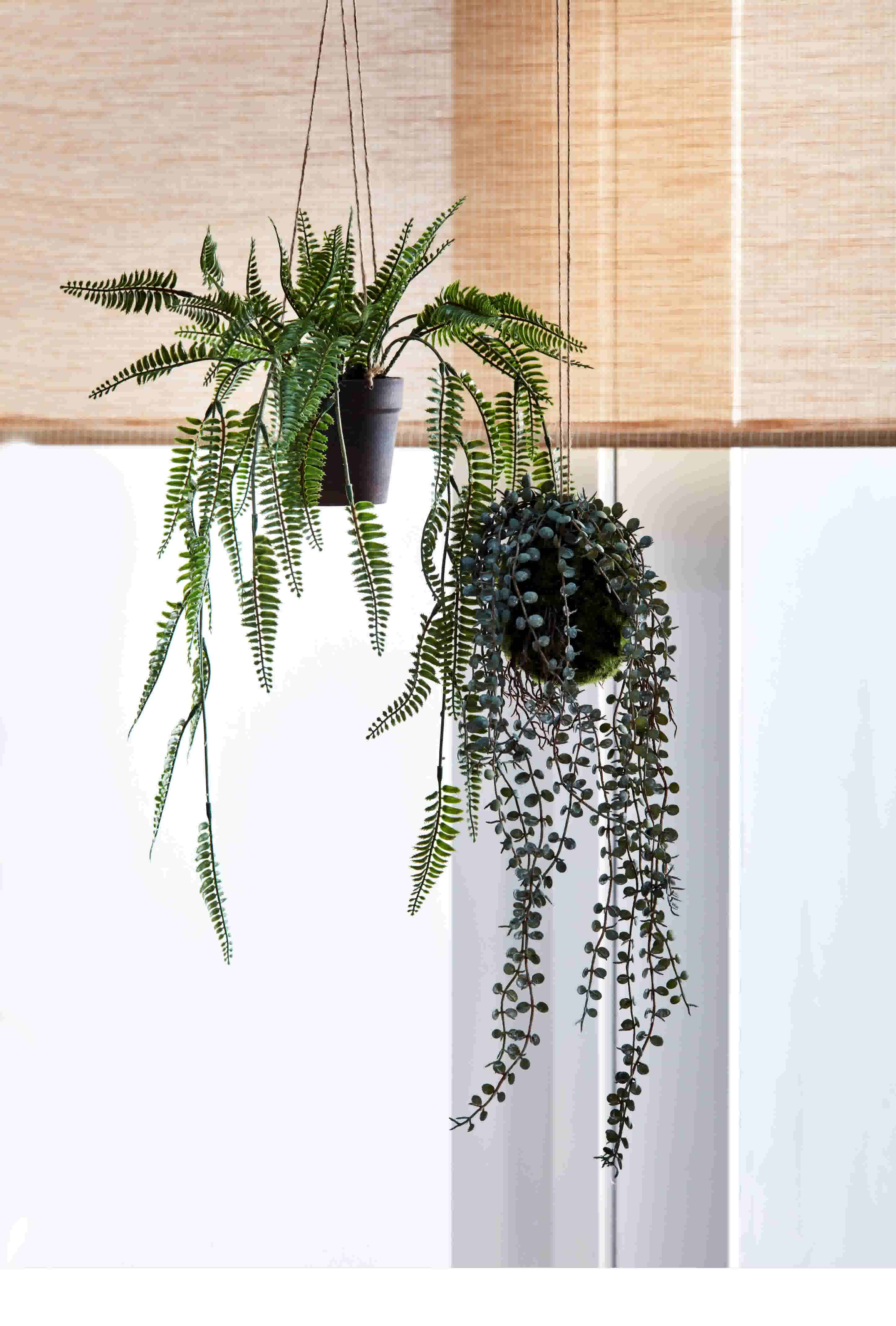 in huis: woonkamer stylen met kamerplanten Karwei