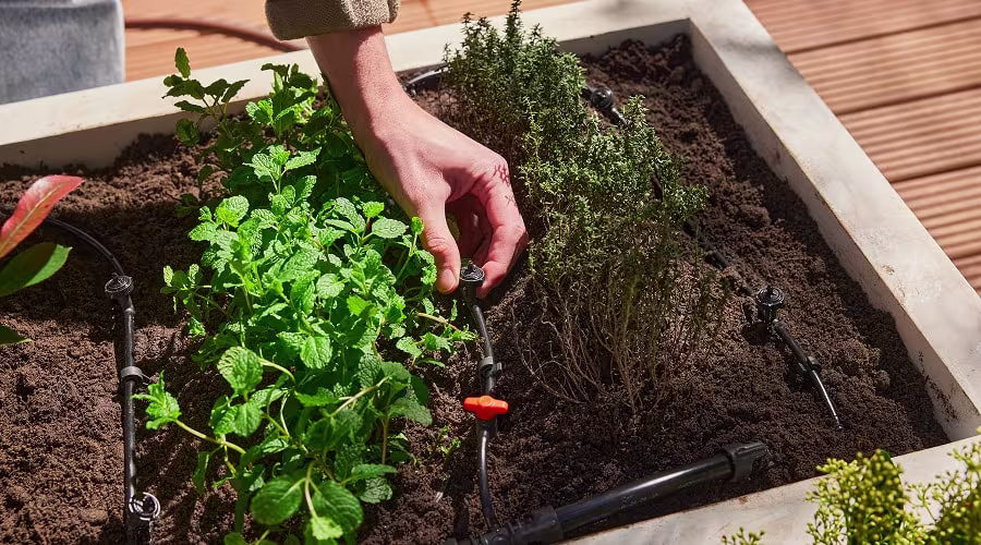 Je tuin slim bewateren doe je zo