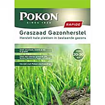 Graszaad