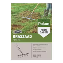 Graszaad