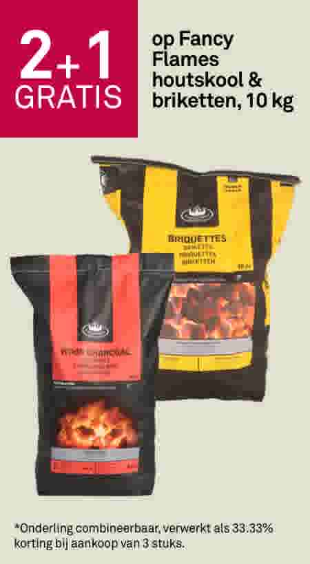 2+1 gratis op Fancy Flames houtskool & briketten, 10 kg