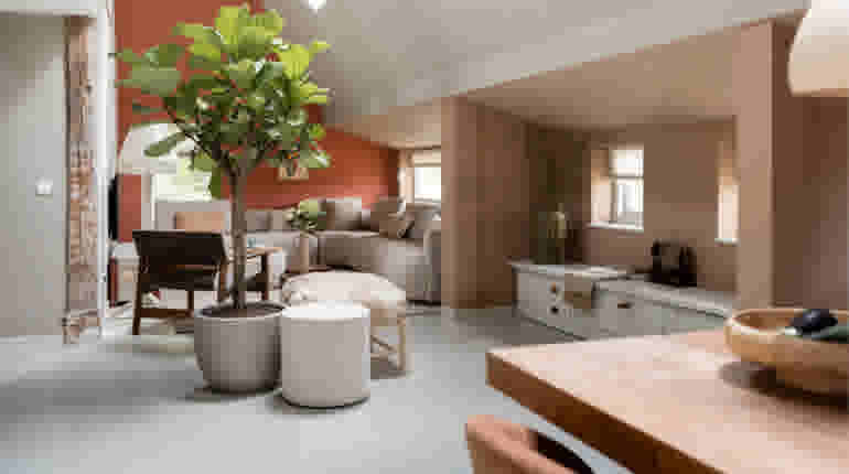 Moderne woonkamer met vijgenboom, grijze bank, oranje muur en natuurlijke tinten in open ruimte met veel licht.