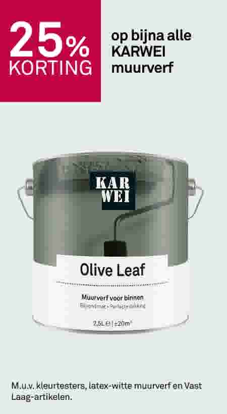 25% korting op bijna alle KARWEI muurverf