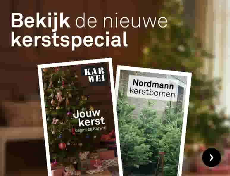 Bekijk de nieuwe kerstspecial