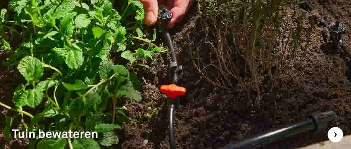 Tuin bewateren
