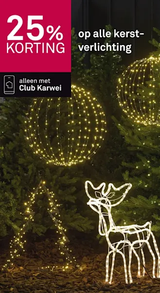 25% korting op alle kerstverlichting