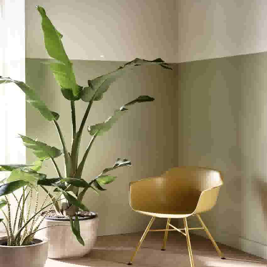 Zithoek met stoel en plant en lambrisering op de muur