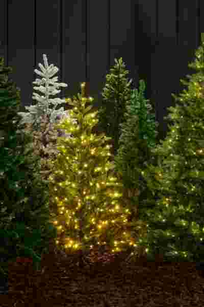 Verschillende kerstbomen met lichtjes tegen een donkere achtergrond, waaronder een witte en meerdere groene exemplaren.