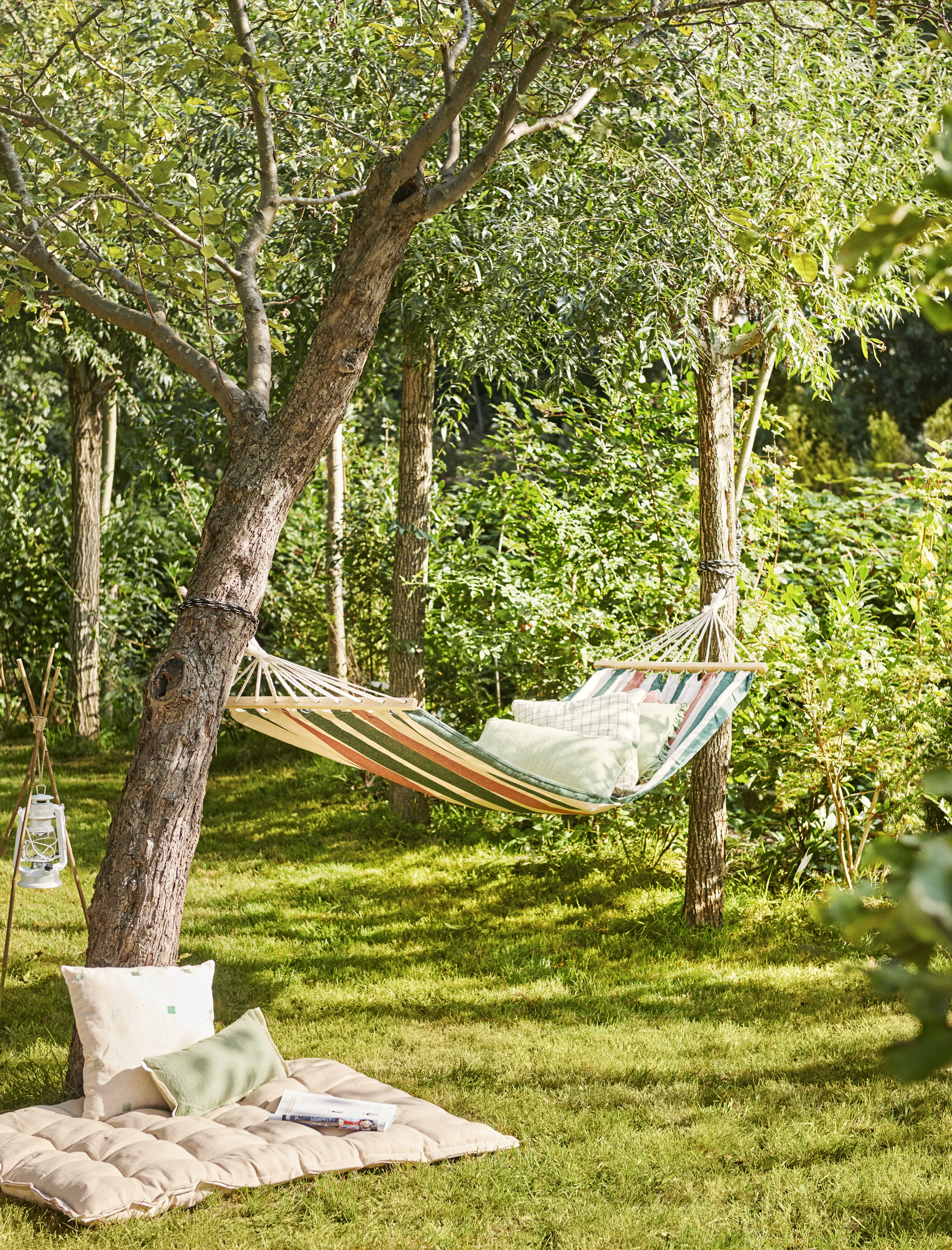 5 tips: je tuin beschermen tegen droogte