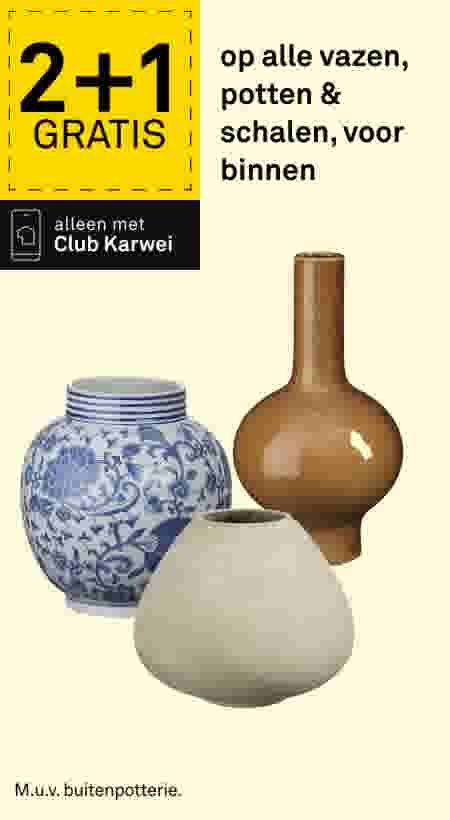 Drie decoratieve vazen: blauw-witte met bloemmotief, bruine slanke fles en beige ronde pot. Aanbieding 2+1 gratis op vazen, potten en schalen.