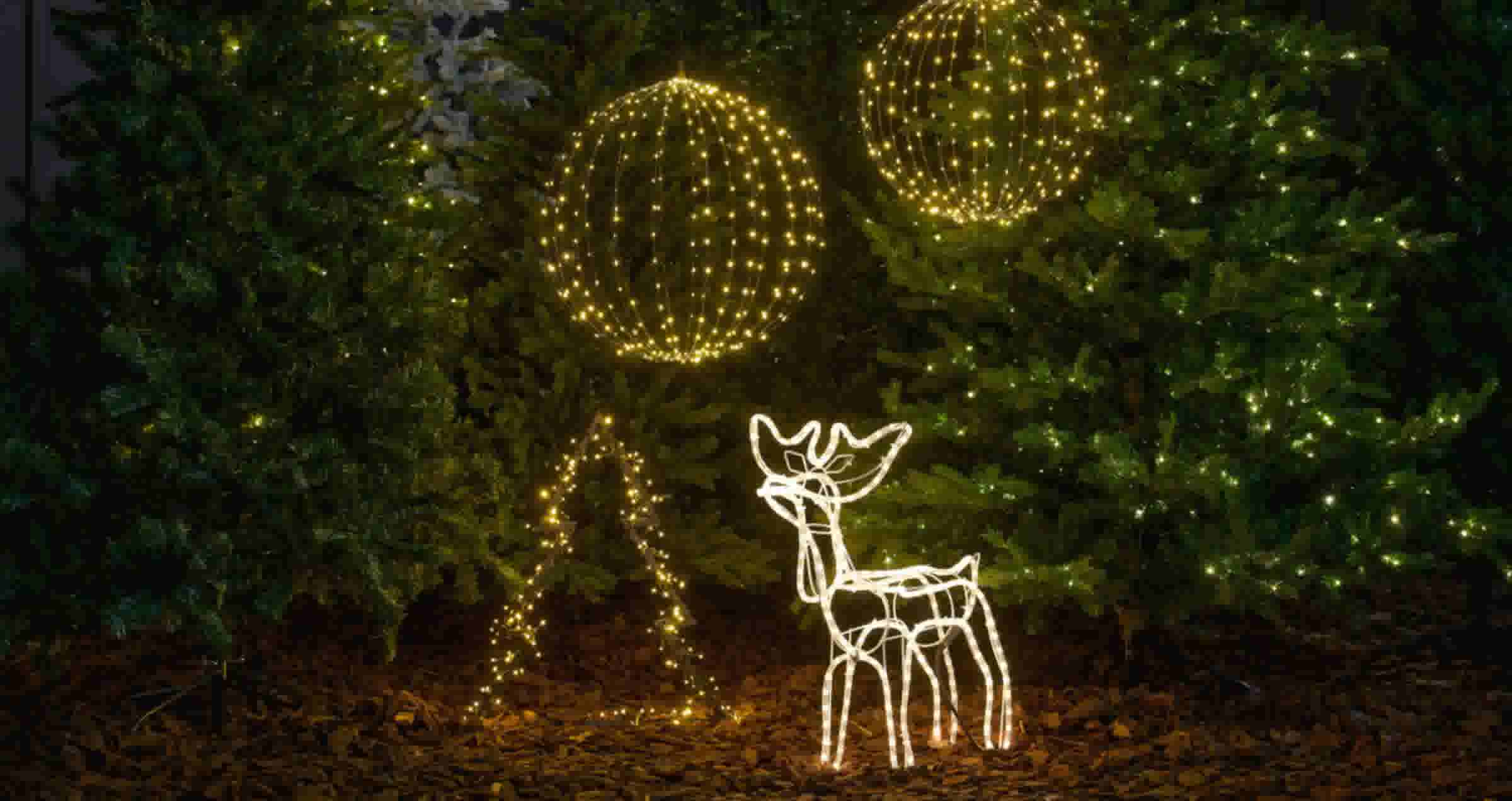 Feestelijke kerstverlichting met lichtgevende hert en ronde lichtbollen tussen groene dennenbomen in een donkere tuin.