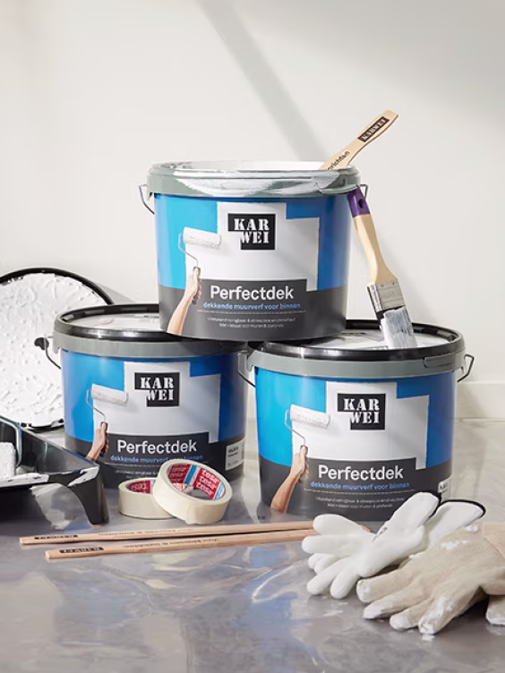 Karwei Perfectdek 10L