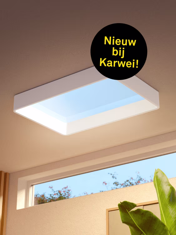 Philips Skylight