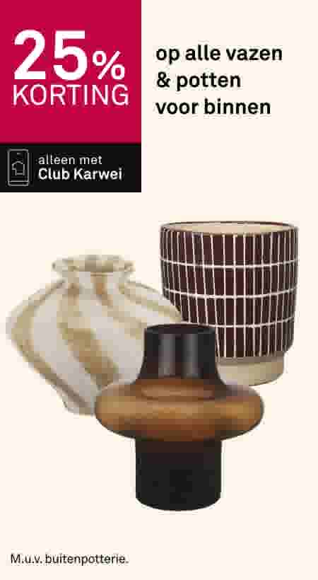 25% korting op alle vazen en potten voor binnen, alleen met Club Karwei. Drie decoratieve vazen afgebeeld.