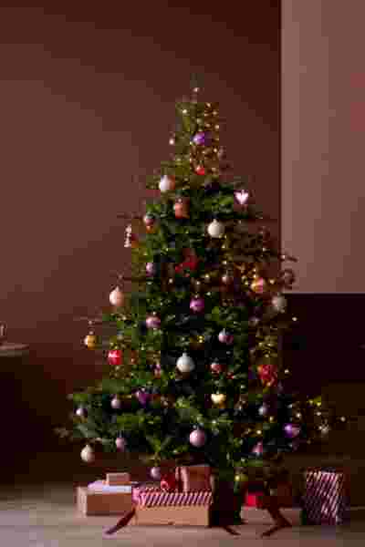 Versierde kerstboom met kleurrijke ballen en lichtjes tegen een bordeauxrode muur, met cadeaus eronder.