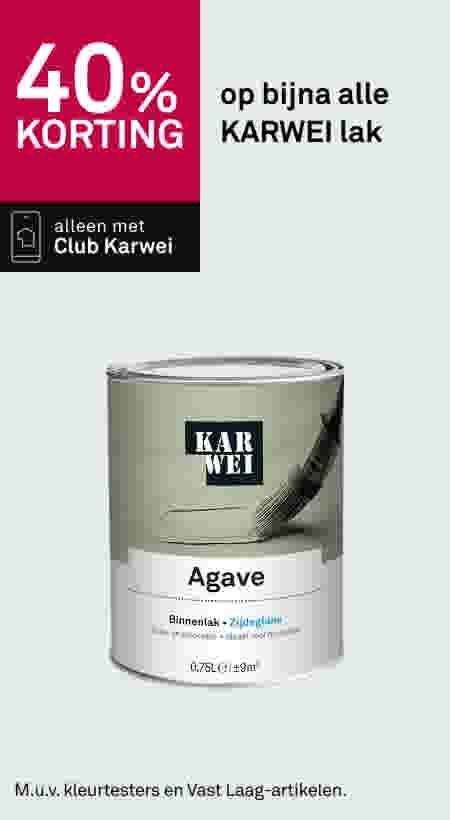 40% korting op bijna alle KARWEI lak