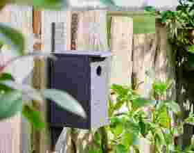 Vogelhuisje maken van ecolat