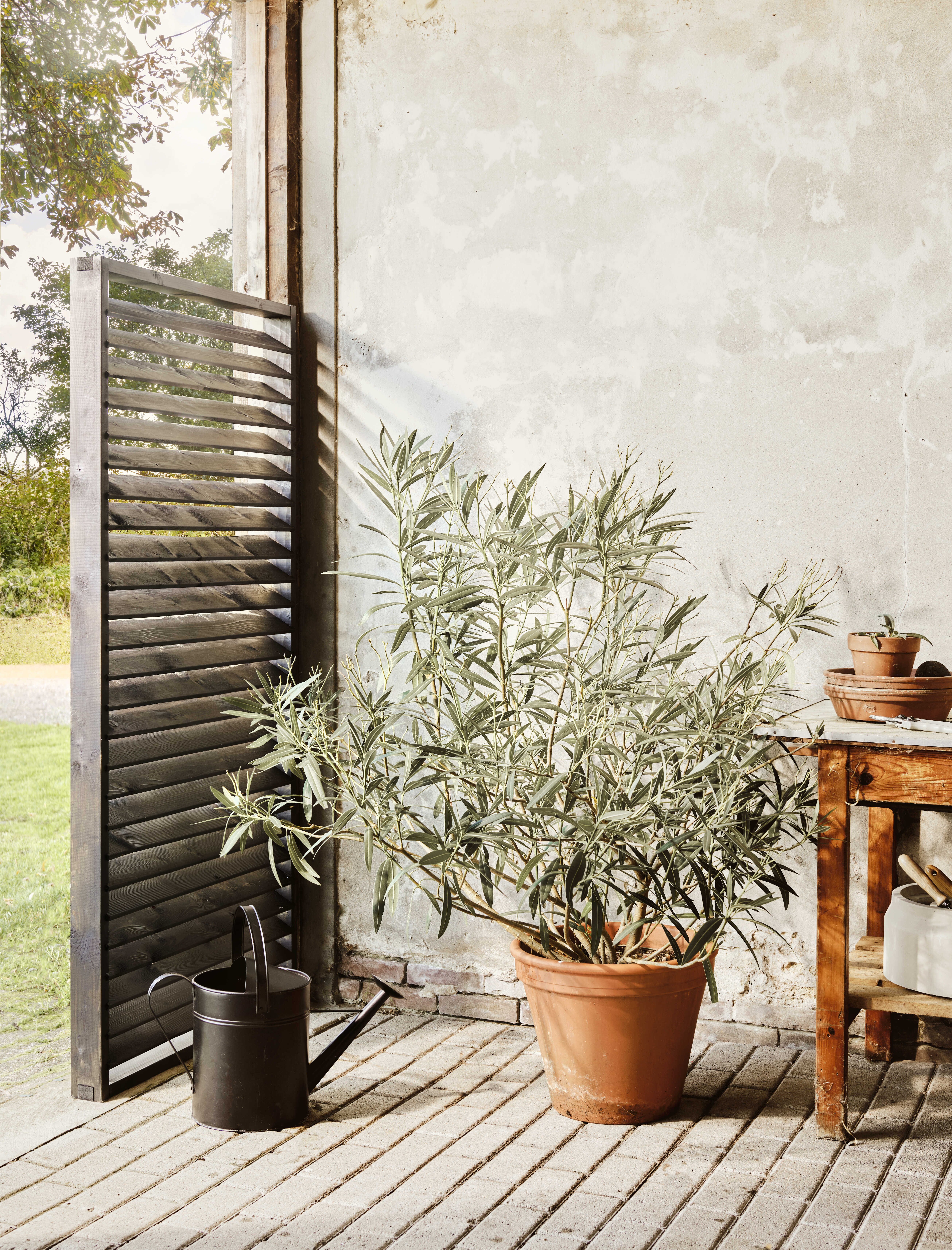 Tuinsmaak duurzame tuin