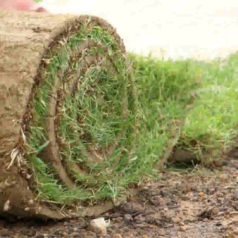 Tips voor het leggen van graszoden!