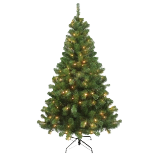 Kerstbomen