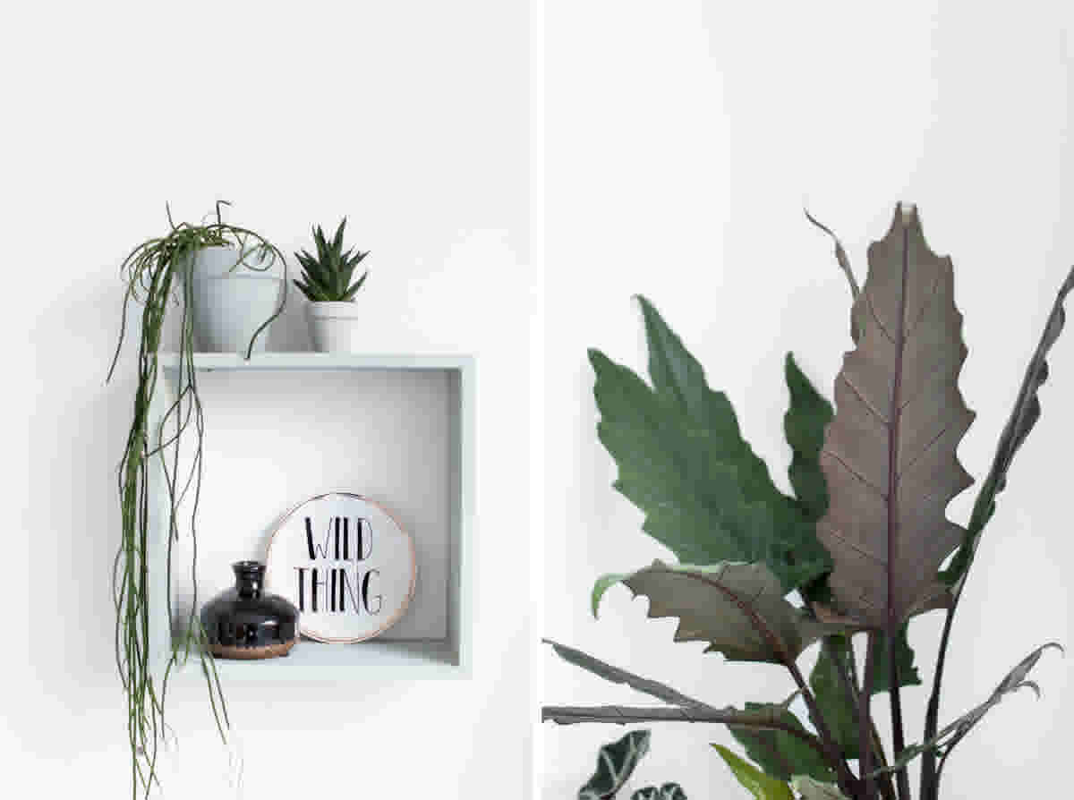 Green-House-styling-KARWEI-Tanja-van-Hoogdalem