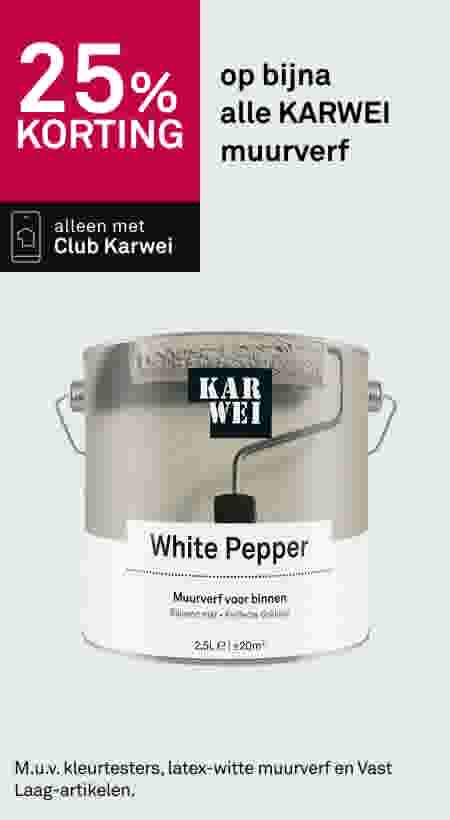 25% korting op bijna alle KARWEI muurverf