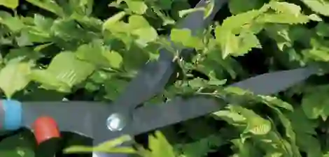  SNoeien Gardena