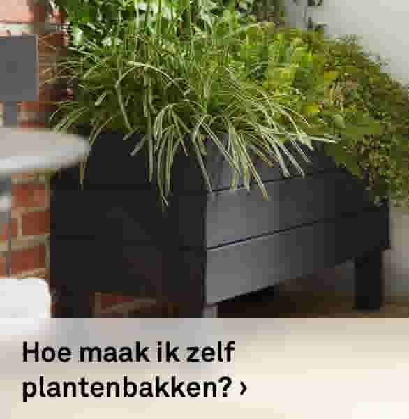 Hoe maak ik zelf plantenbakken?