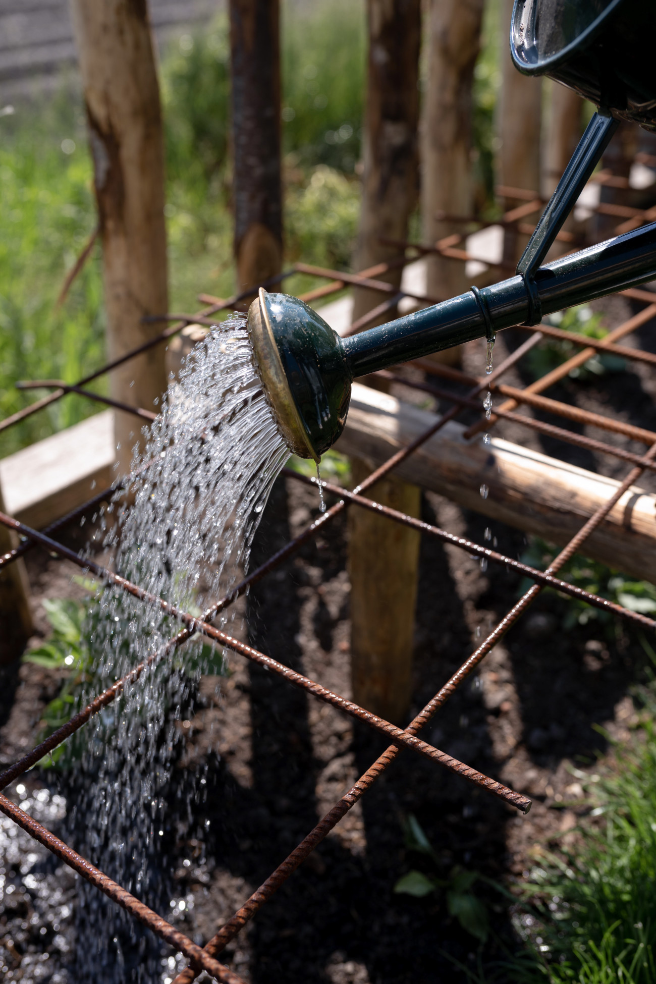 Pluktuin: Wat kun je doen in juni?