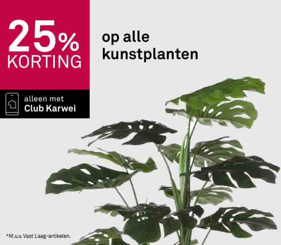 25% korting op alle kunstplanten