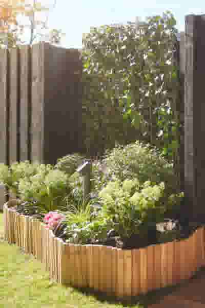 Een houten plantenborder in een tuin met groene planten, roze bloemen en een klimplant op een donker houten hek in de zon.