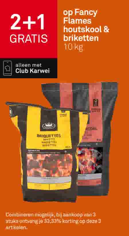 2+1 gratis op Fancy Flames houtskool & briketten, 10kg