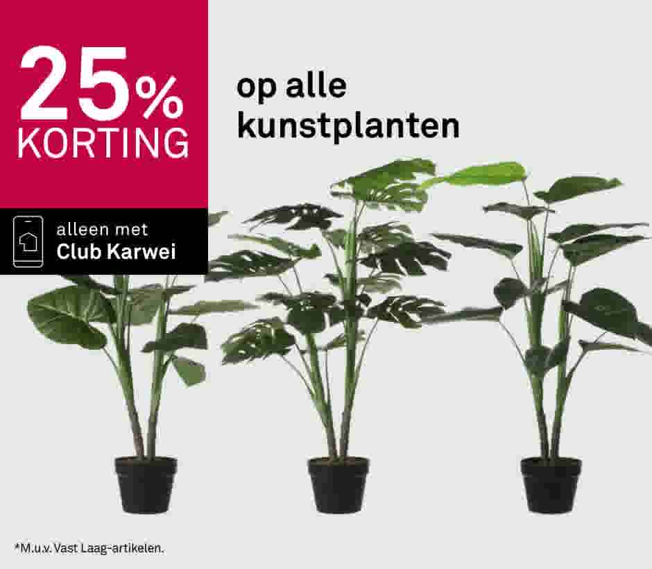 25% korting op alle kunstplanten