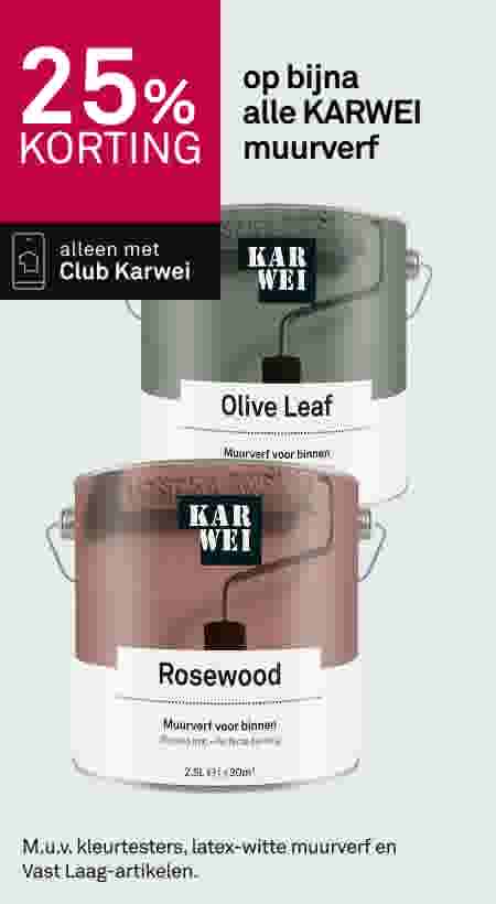 25% korting op bijna alle KARWEI muurverf 