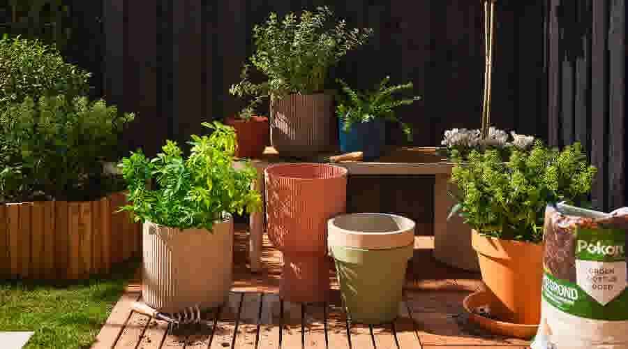 KH plantenbak LP header thumbnail