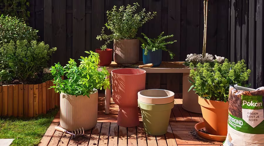 Hoe maak je een plantenplan?