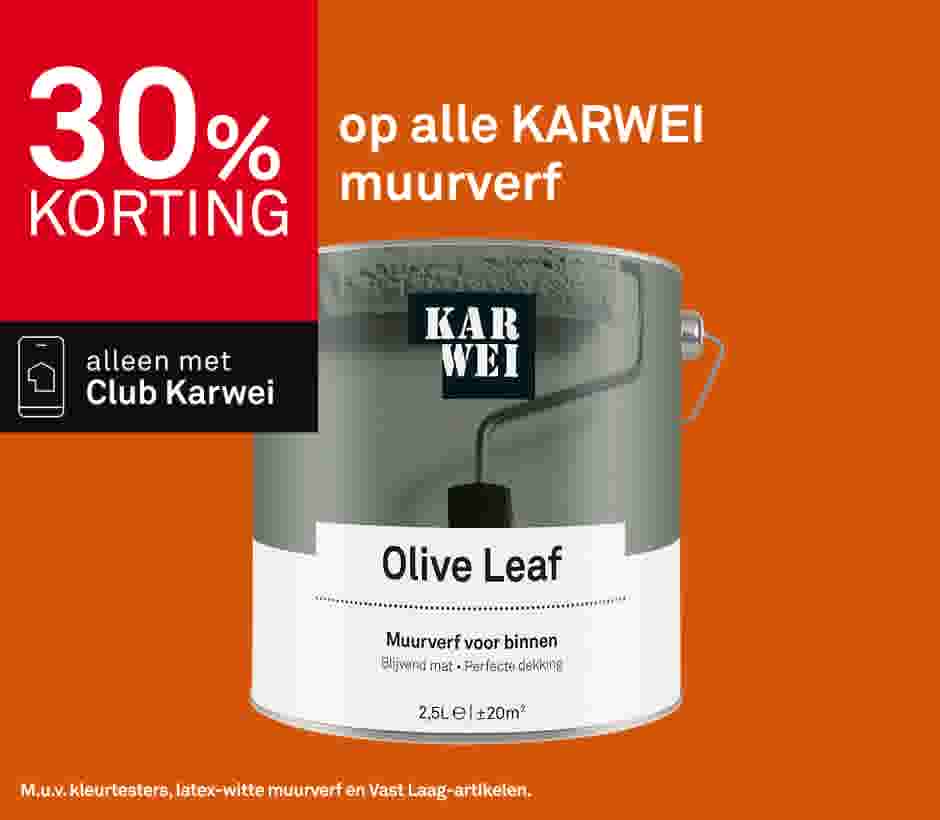 30% korting  op alle KARWEI  muurverf
