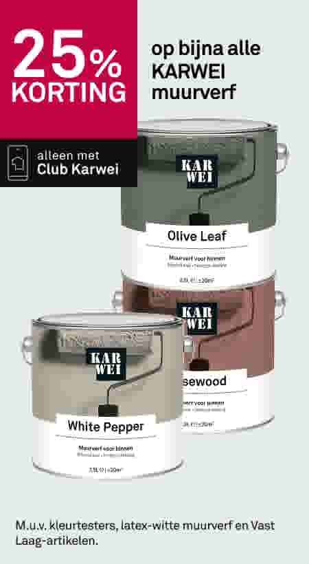 25% korting op bijna alle KARWEI muurverf