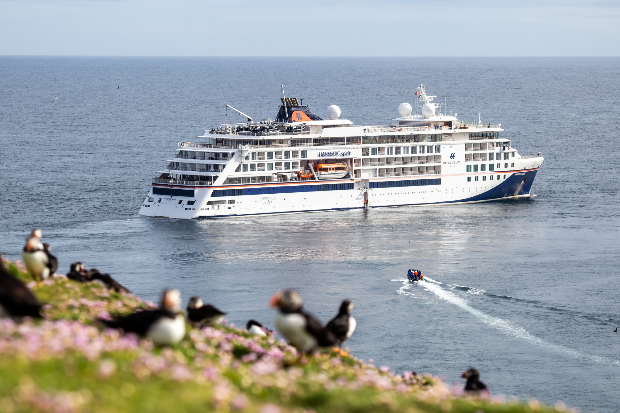 Papageientaucher auf Fels und im Hintergrund die HANSEATIC inspiration
