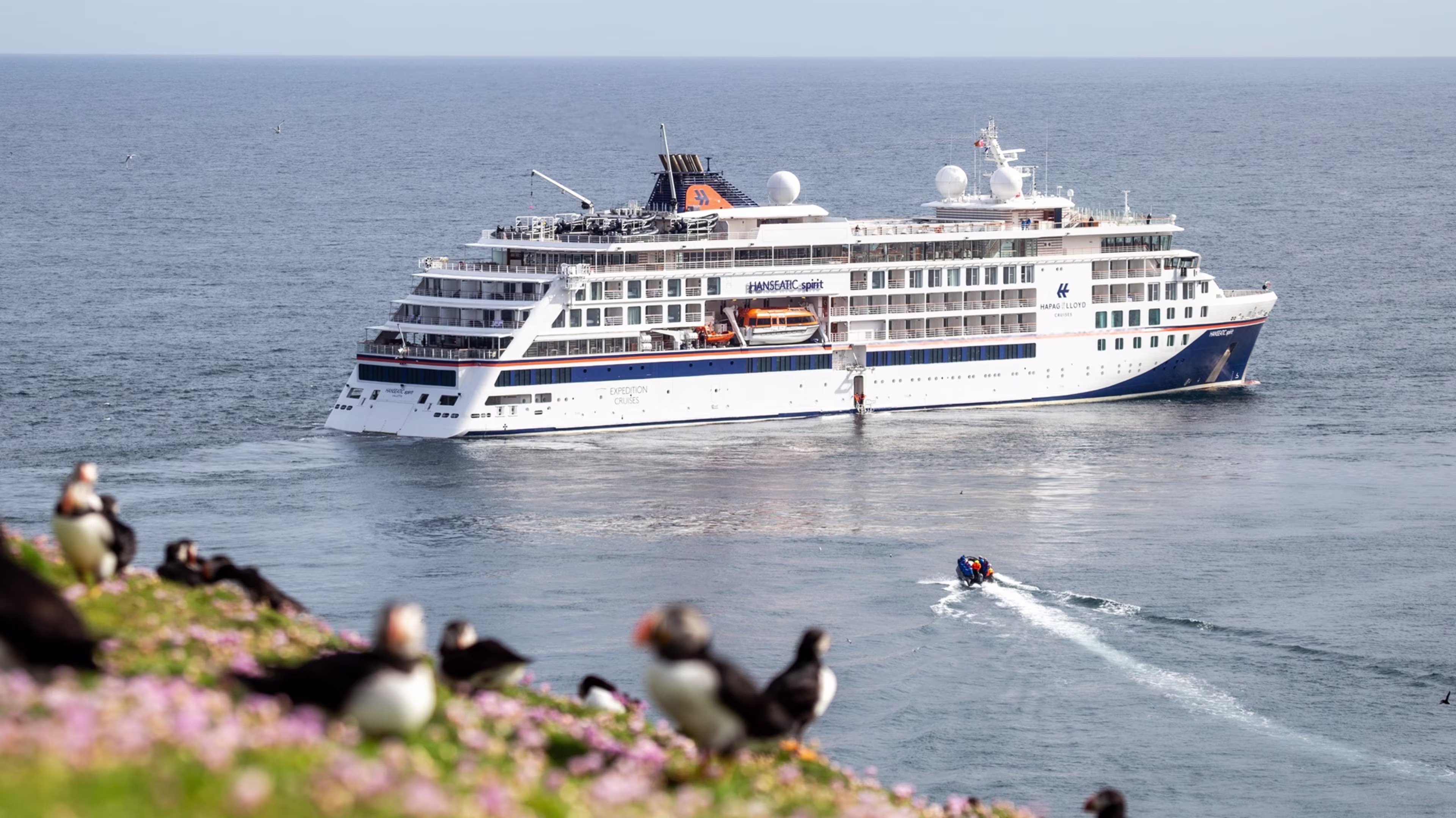 Papageientaucher auf Fels und im Hintergrund die HANSEATIC inspiration