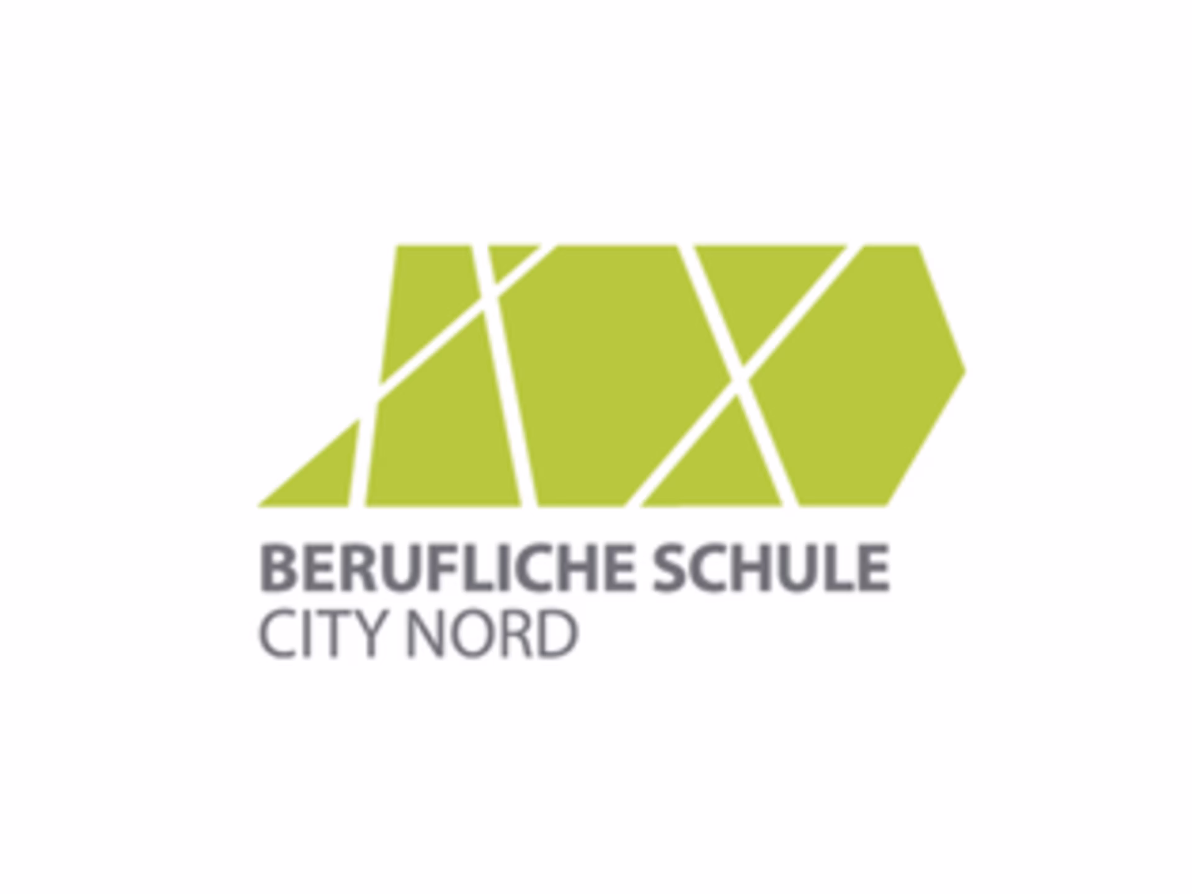 Grüner Pfeil mit Schriftzug Berufliche Schule City Nord