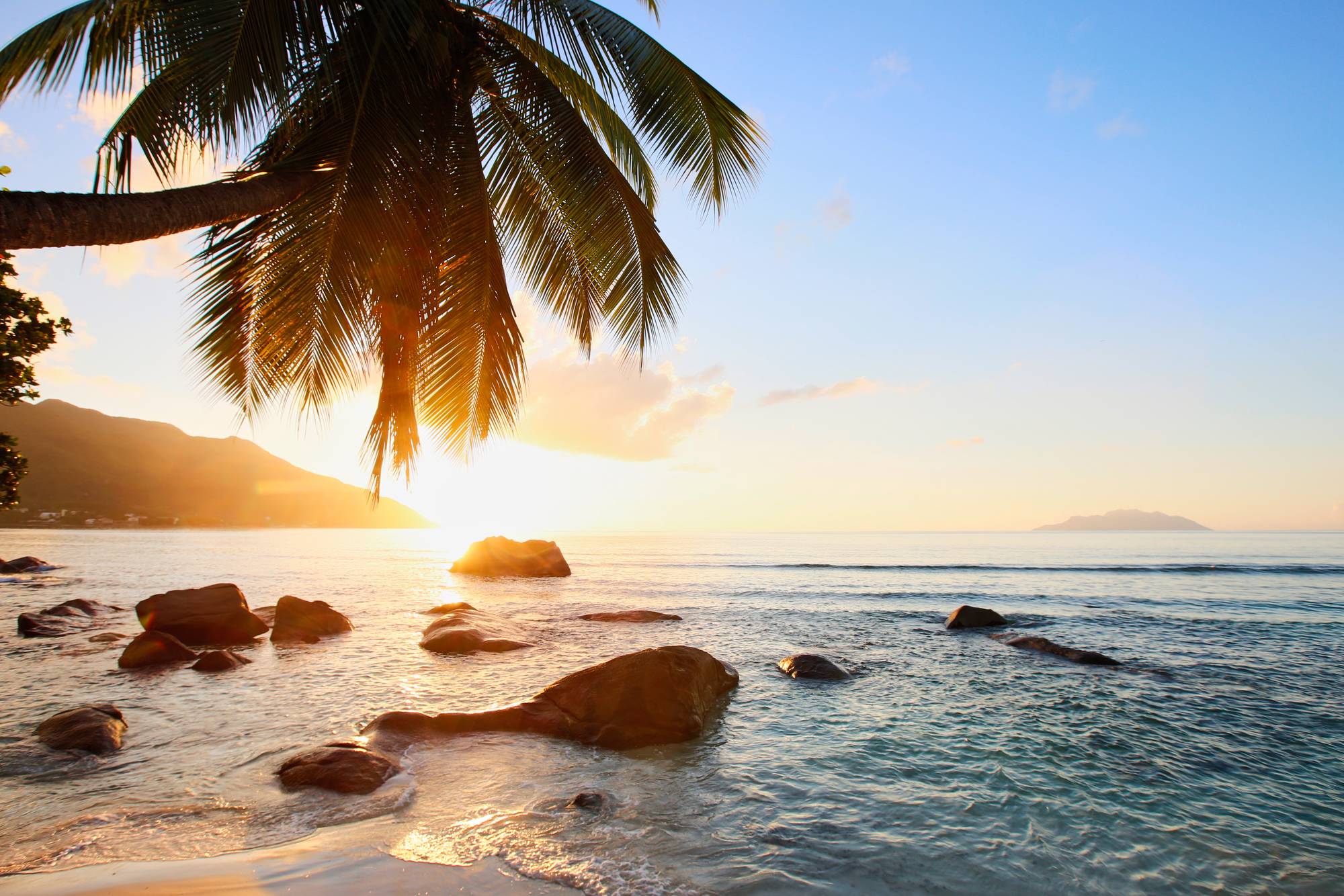 A bay in the Seychelles featuring palm trees, granite rocks, the ocean, and mountains in the background
