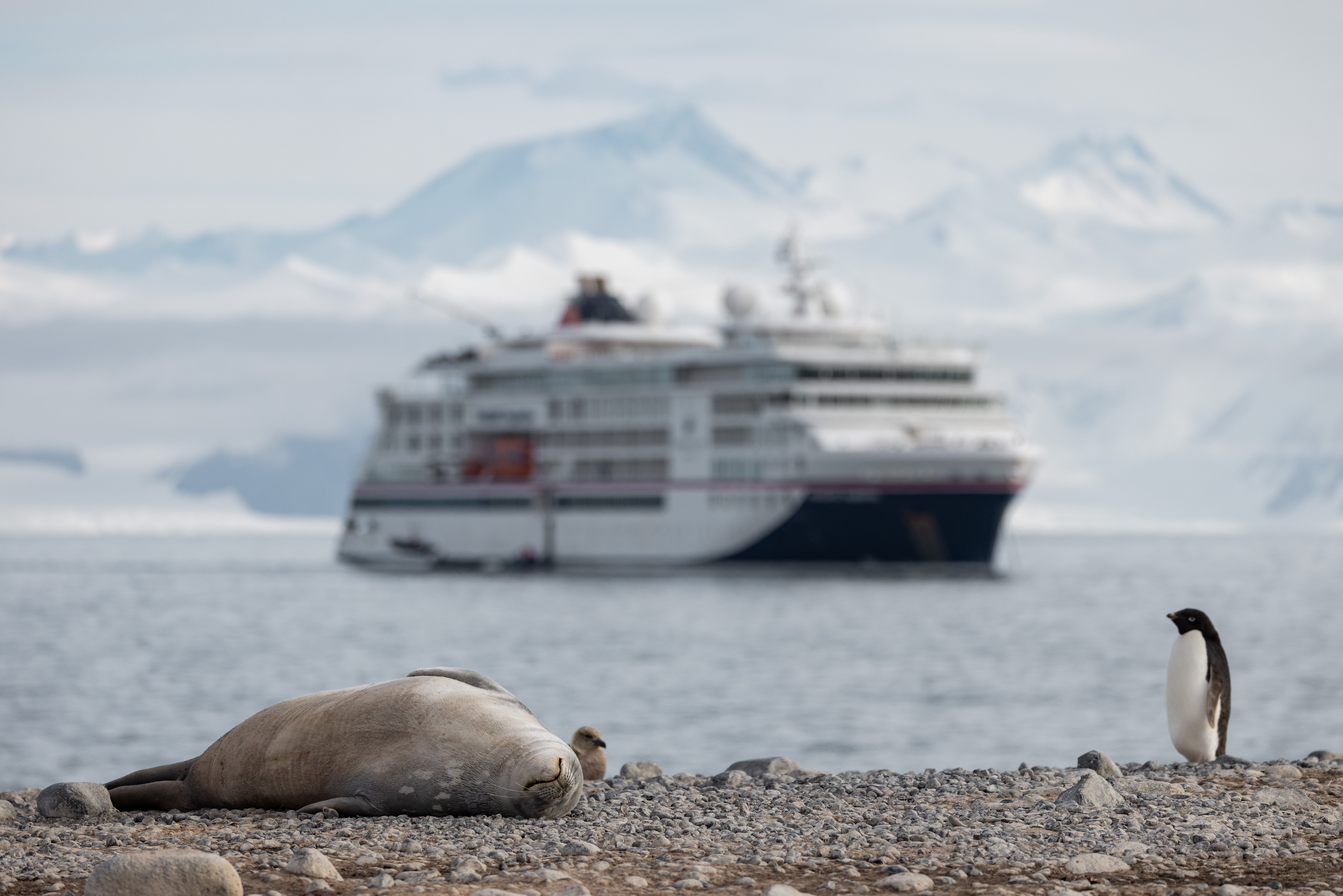 The HANSEATIC inspiration successfully completed its semi-circumnavigation of the Antarctic after 32 days
