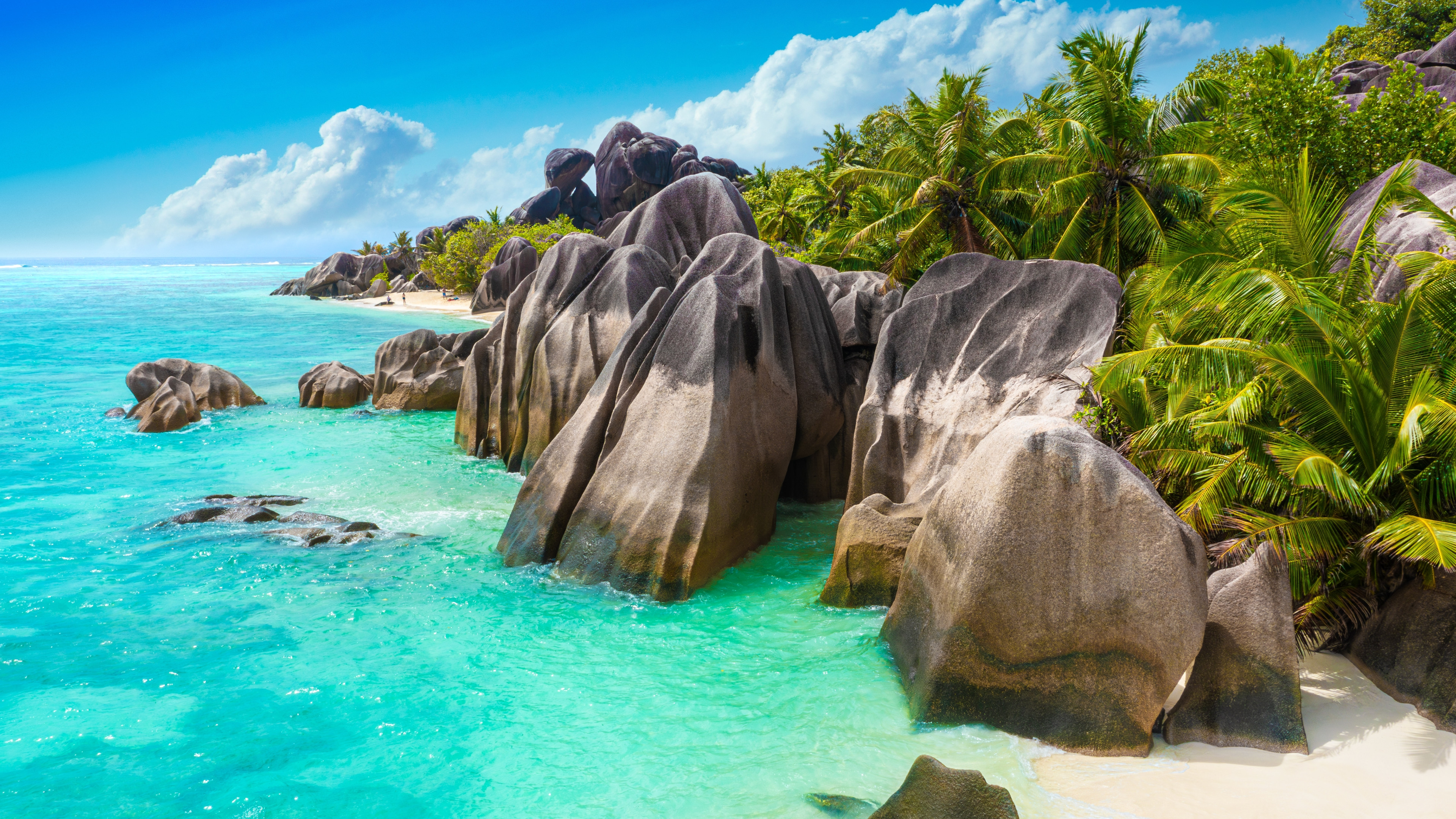 Bild von den Seychellen