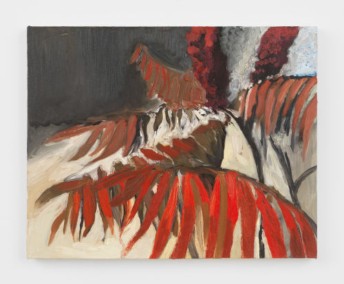 Jane Corrigan
Sumac, 2018
Oil on linen
16.25 x 20 inches
41.3 x 50.8 cm