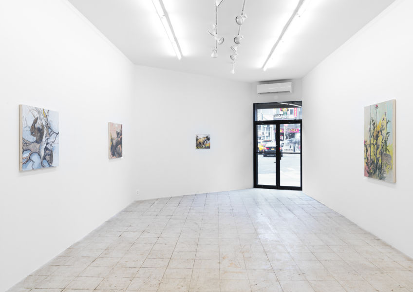 Installation view, Ma Paw, April 15-May 20, 2018