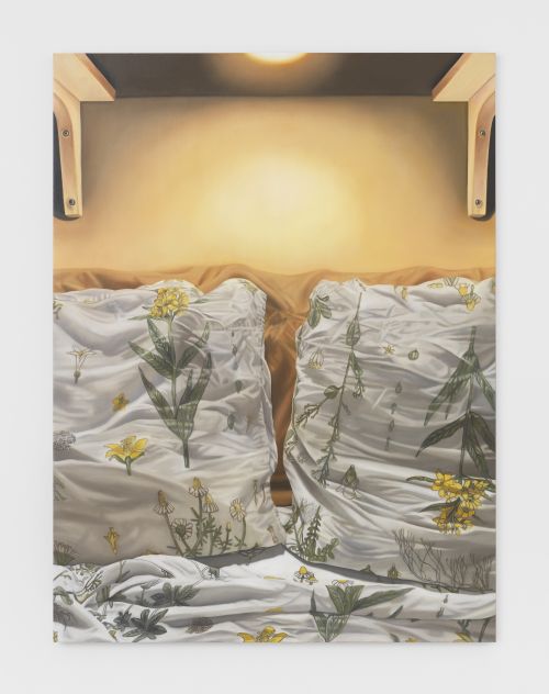 Cait Porter
Two Pillows, 2024
Oil on linen
64 x 48 inches
162.6 x 121.9 cm